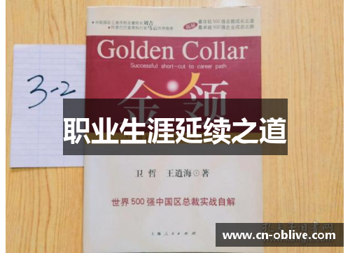 职业生涯延续之道