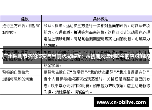 广州队调节费的演变与当前状况解析：从初期风波到如今的应对策略