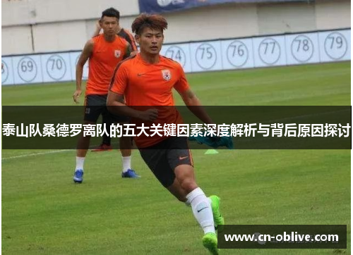 泰山队桑德罗离队的五大关键因素深度解析与背后原因探讨