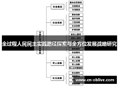 全过程人民民主实践路径探索与全方位发展战略研究