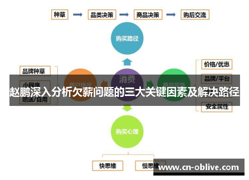 赵鹏深入分析欠薪问题的三大关键因素及解决路径