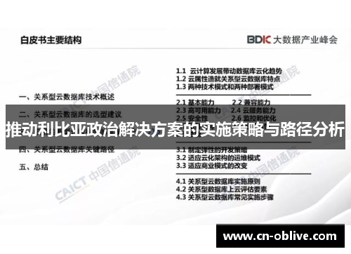 推动利比亚政治解决方案的实施策略与路径分析