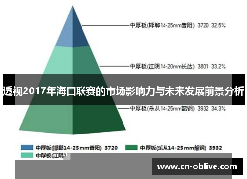 透视2017年海口联赛的市场影响力与未来发展前景分析