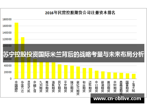 苏宁控股投资国际米兰背后的战略考量与未来布局分析