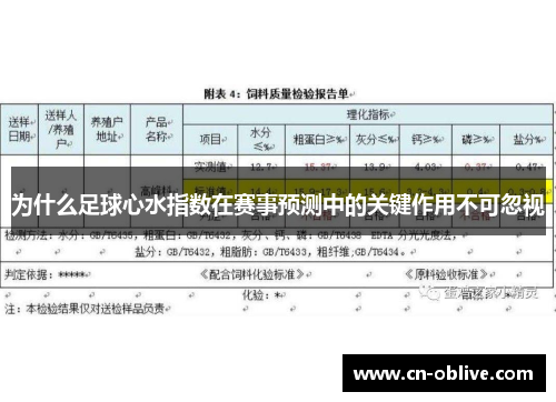 为什么足球心水指数在赛事预测中的关键作用不可忽视