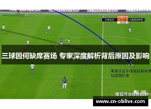 三球因何缺席赛场 专家深度解析背后原因及影响