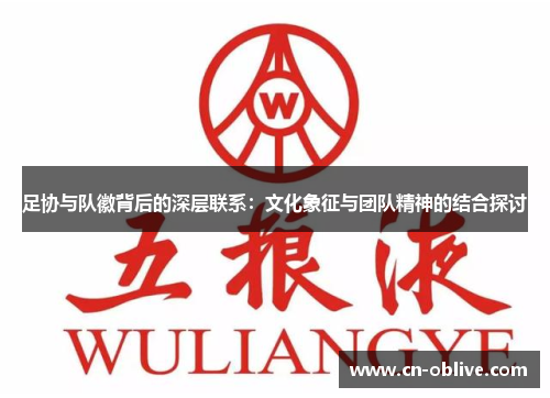 足协与队徽背后的深层联系：文化象征与团队精神的结合探讨