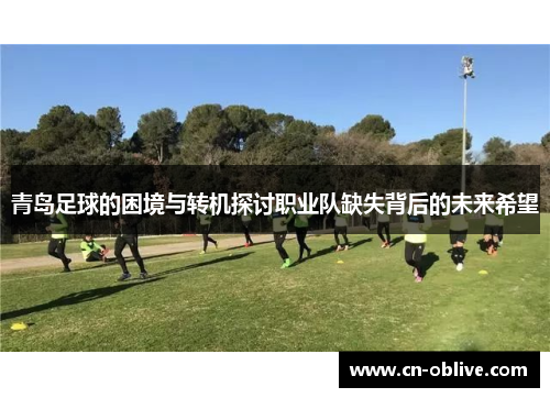 青岛足球的困境与转机探讨职业队缺失背后的未来希望