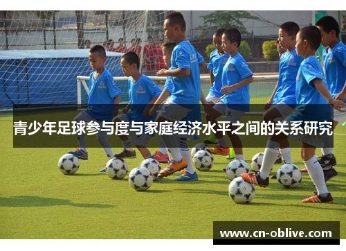 青少年足球参与度与家庭经济水平之间的关系研究